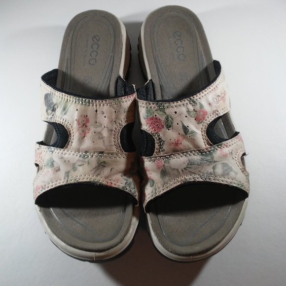 ecco slides